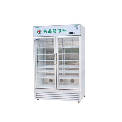 Single-temperature Ready To Ship 2 Door Chest Freezer 1500l Cold Fridge Pharmacy Storage Fridge With CE Certificate